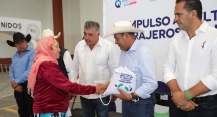 Sequía en Querétaro: implementarán programas de apoyo ante crisis en campo y ganadería