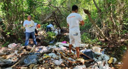 Laguna Chacmuchuc, hábitat del cangrejo azul, fue liberada de 5 toneladas de basura