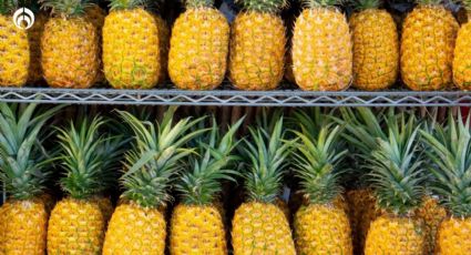 ¿Cómo saber si una piña está madura y dulce? Este el tip de un experto