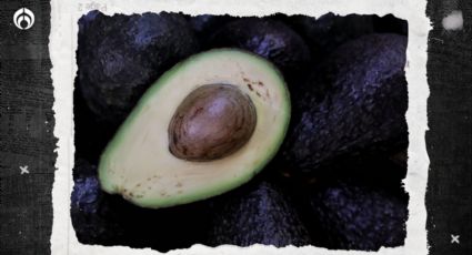 ¿Qué contiene la semilla del aguacate? Estos son los usos que le puedes dar