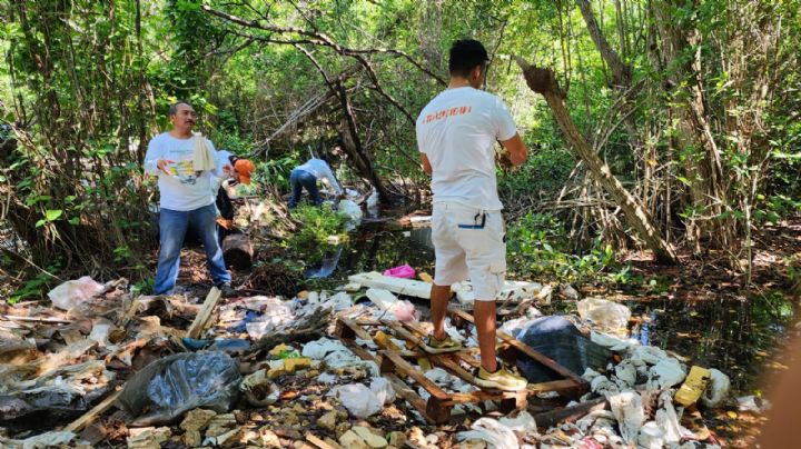 Laguna Chacmuchuc, hábitat del cangrejo azul, fue liberada de 5 toneladas de basura