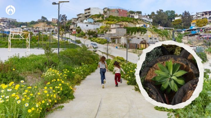 Parque Xicoténcatl: así es la obra de Tijuana nominada a un premio en Seúl (FOTOS)