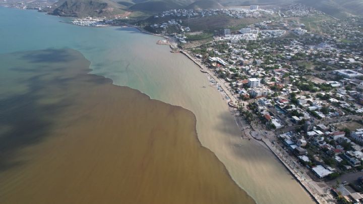 Bahía de La Paz es un ‘cochinero’: embarcaciones hundidas dejan mancha contaminante en el mar