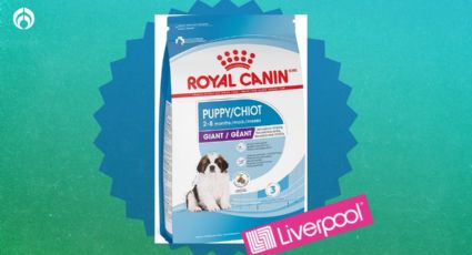 Liverpool tiene a precio regalado croquetas para perro Royal Canin; hasta para comprar 3 por 1