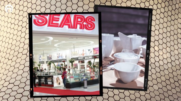 Sears: la elegante vajilla de 12 piezas digna de la clase alta de porcelana azul dorado ¡a mitad de precio!