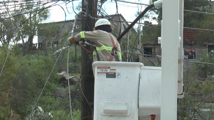 Trabajos de CFE continúan para reforzar el servicio de energía eléctrica en La Paz