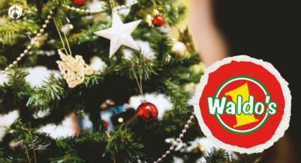 Waldo’s cuenta con estos árboles de Navidad a menos de 400 ‘pesitos’