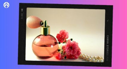 Los 5 perfumes frescos y super duraderos que venden en Fraiche