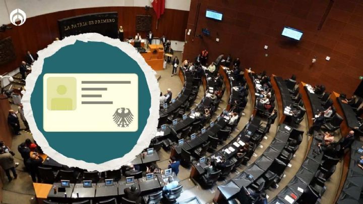 Filtran audio de morenista: esto hará Morena con CURP, INAI y Tribunal en Senado