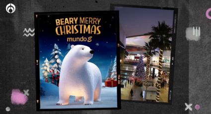 Mundo E invita al encendido del árbol de Navidad y al show “Beary Merry Christmas”