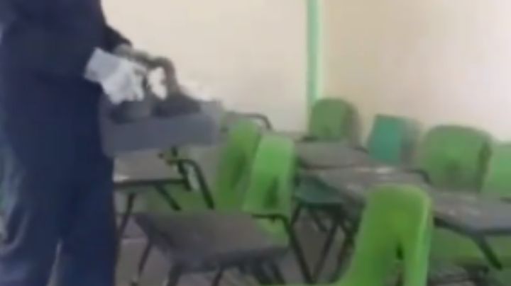 Chinches en Guanajuato: Ocho escuelas han dado positivo por plaga de bichos