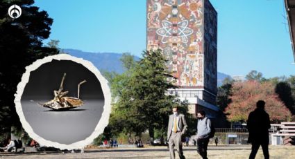 Chinches en la UNAM: Facultad de Derecho suspende clases presenciales por presunta plaga