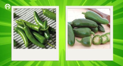 ¿Cuál es la diferencia entre el chile serrano y jalapeño?