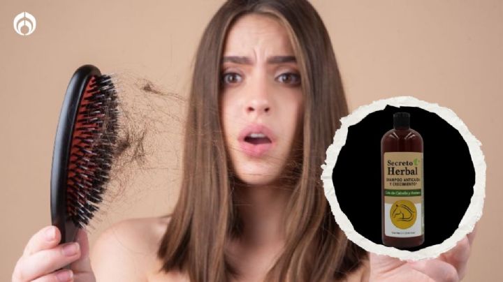 El poderoso shampoo mexicano para frenar la caída del cabello y que cuesta menos de 50 pesos