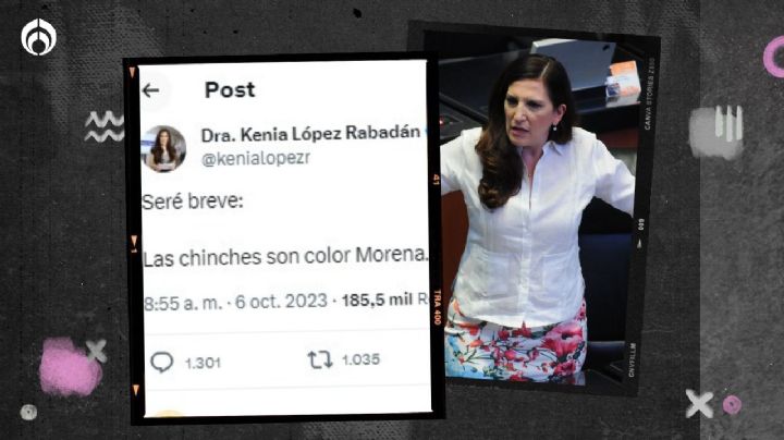 Senadora del PAN dice que chinches son ‘color Morena’ y la acusan de racismo