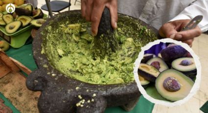 El secreto para que el guacamole quede ‘espesito’ y delicioso