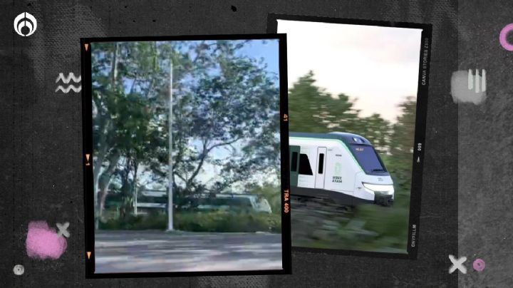 (VIDEO) Tren Maya 'toma vuelo': así luce recorriendo el sureste mexicano a toda velocidad