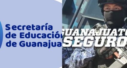 Guanajuato libre de fentanilo: 22 mil dosis de diversas drogas fueron decomisadas el mes pasado