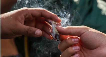 Marihuana desplaza al alcohol como lo más consumido entre jóvenes en Sonora