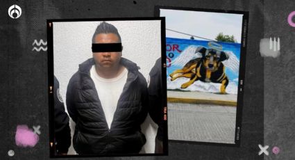 Dan 5 años de prisión a hombre que lanzó al perrito “Scooby” a un cazo en Edomex