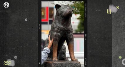 Hachiko: 100 años esperando a su dueño en una estación de tren de Tokio