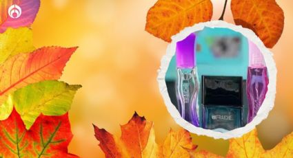 6 perfumes de Fraiche que huelen como los Versace ideales para el otoño