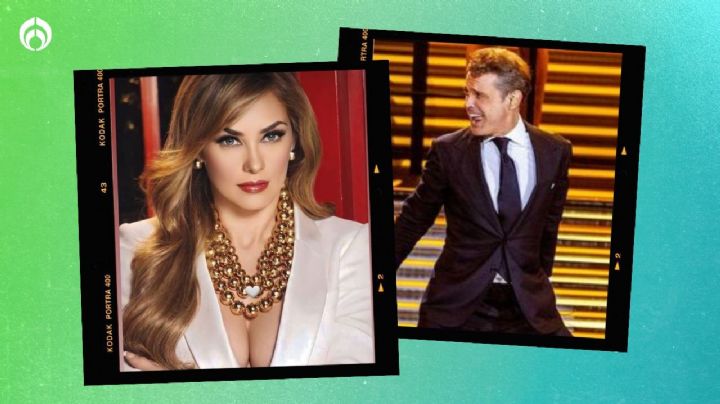 Luis Miguel y Aracely Arámbula logran acuerdo para que sus hijos estudien en Estados Unidos