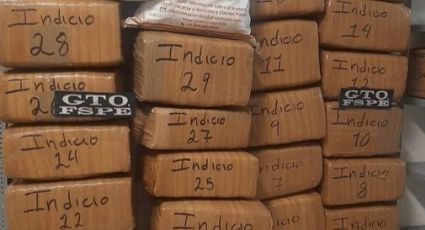 Logran decomiso histórico de 300 mil dosis de marihuana en Comonfort, Guanajuato