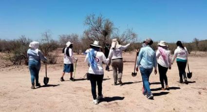 (VIDEO) Localizan fosa clandestina con al menos dos cuerpos cerca de comunidad Triqui