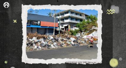 Dengue, sika, chinkungunya: A estas y otras enfermedades están expuestos damnificados de Acapulco