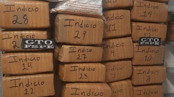 Logran decomiso histórico de 300 mil dosis de marihuana en Comonfort, Guanajuato