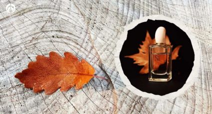 Estos perfumes de Fraiche huelen a los Guess ideales para el otoño