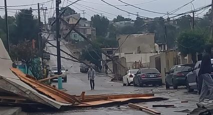 Como fichas de dominó: fuertes vientos provocan caída de postes y dejan sin luz a 90 mil en Tijuana