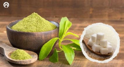 Stevia: ¿Realmente es el mejor sustituto de azúcar?