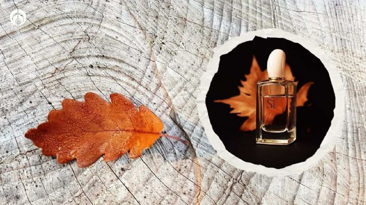 Estos perfumes de Fraiche huelen a los Guess ideales para el otoño