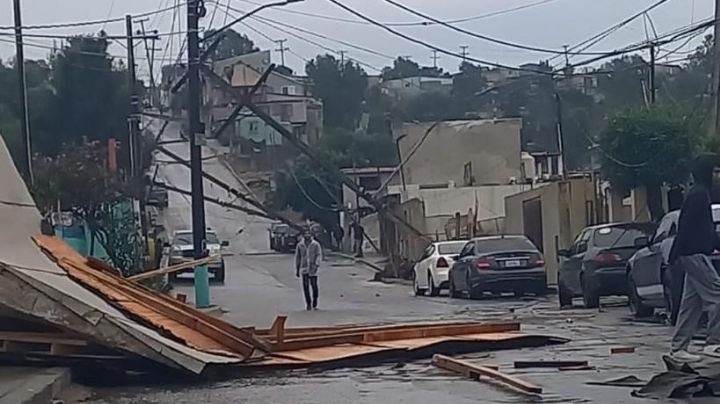 Como fichas de dominó: fuertes vientos provocan caída de postes y dejan sin luz a 90 mil en Tijuana