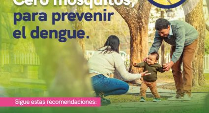 Dengue en Querétaro: enfermedad acumula 110 infectados; se investiga posible muerte