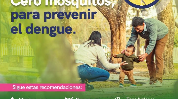 Dengue en Querétaro: enfermedad acumula 110 infectados; se investiga posible muerte