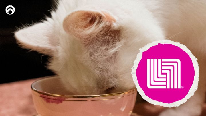 Liverpool remata a un super precio las croquetas para gato recomendadas por Profeco