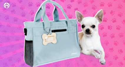 Liverpool remata mochila para perritos; es grande e incluye dos platos