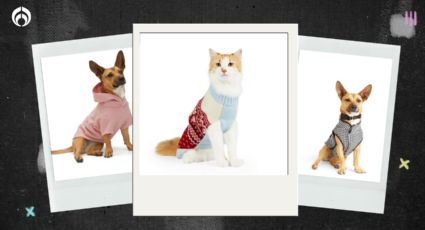 Petco remata ropa de invierno para perritos y gatitos por el Cyber Weekend