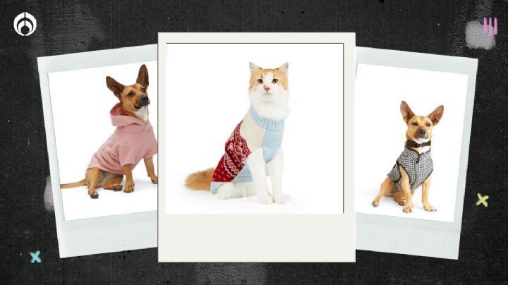 Petco remata ropa de invierno para perritos y gatitos por el Cyber Weekend