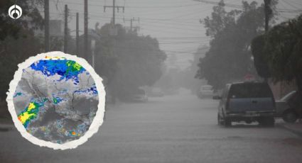 Clima hoy domingo 26 de noviembre: Frente frío 12 trae las lluvias de regreso y con heladas