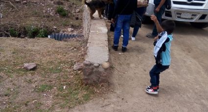 Sequía en León: más de 9 mil hectáreas se han perdido por falta de lluvias