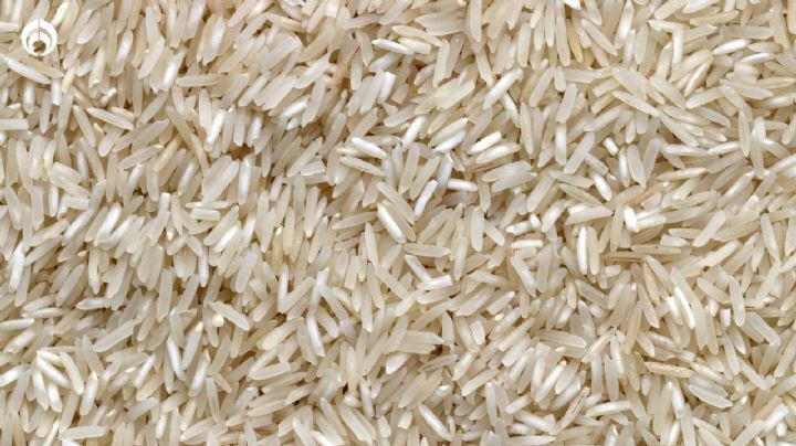 ¿Cuál es la diferencia entre al arroz mexicano y el japonés? No lo creerás