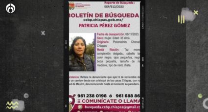 Denuncian desaparición de Patricia Pérez Gómez, activista defensora de migrantes