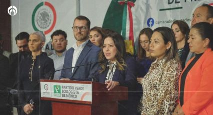 PVEM promueve los huertos familiares en el Legislativo