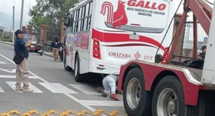 Megaoperativo en Córdoba: mandan al corralón a autobuses 'Gallo' por no estar regularizada