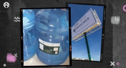 Segalmex: así ‘maquinó’ la estafa a empresarios con purificadoras de agua