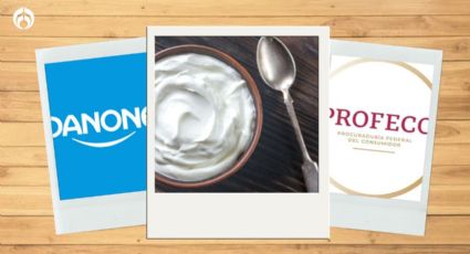 ¿Qué tan bueno es el yogurt griego de la marca Danone? Esto dice Profeco